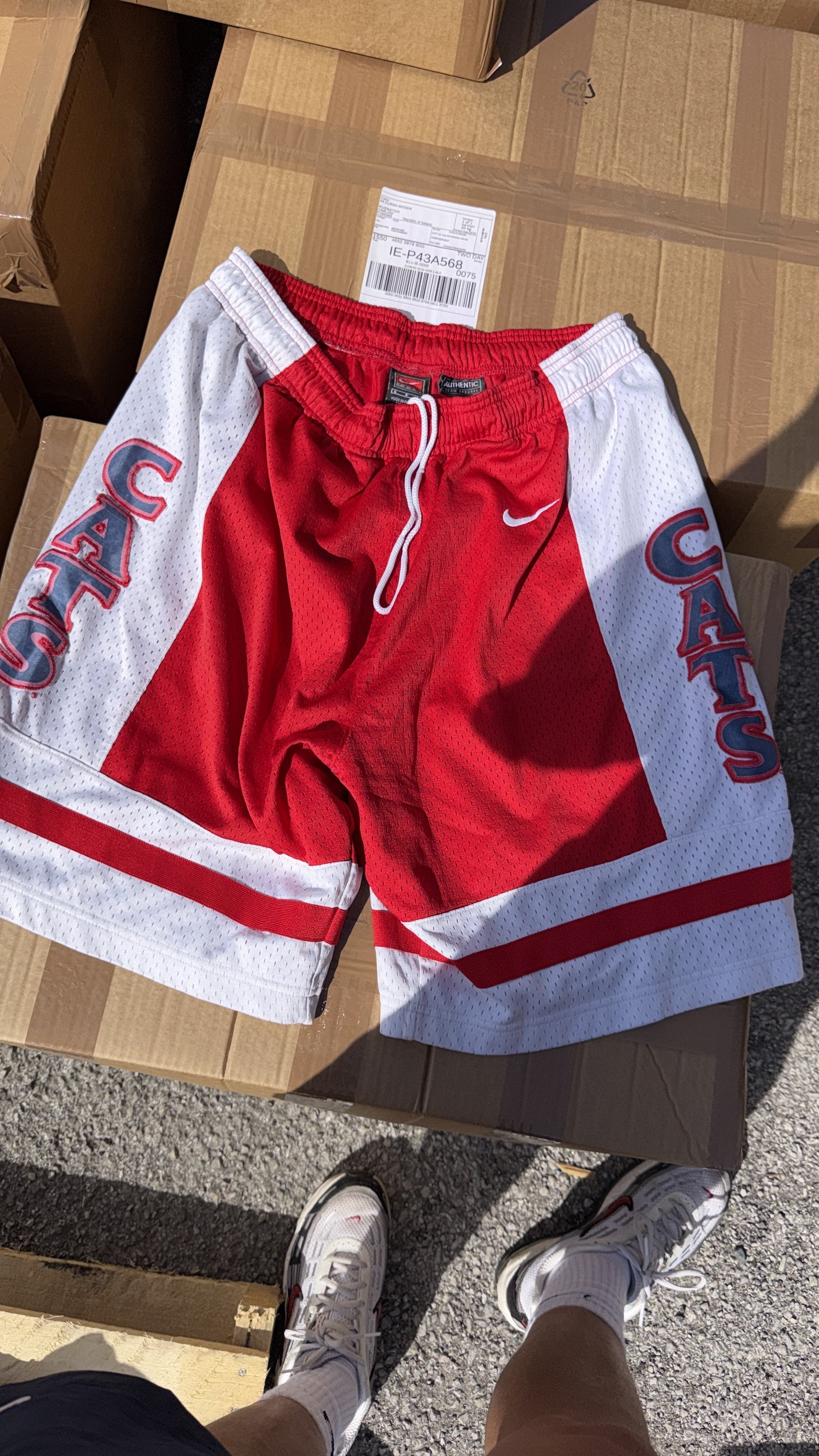 BRANDED SPORT SHORTS